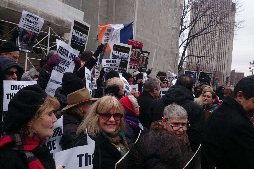 Horse Carriage Ban Supporters Celebrate Introduction of Bill