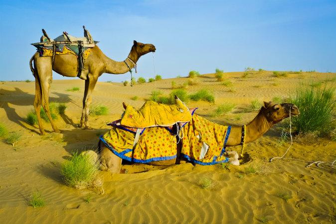 Rajasthan - 20 Amazing Facts!