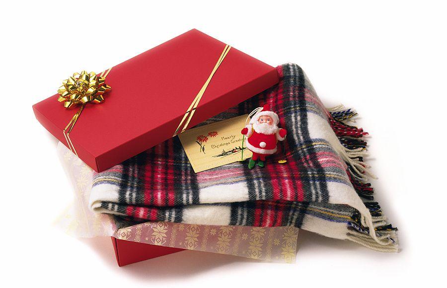 The Consummate Traveler: Holiday Gift Ideas for Frequent Travelers