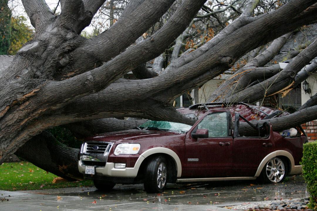 California Whacked by ‘Pineapple Express’ Storm
