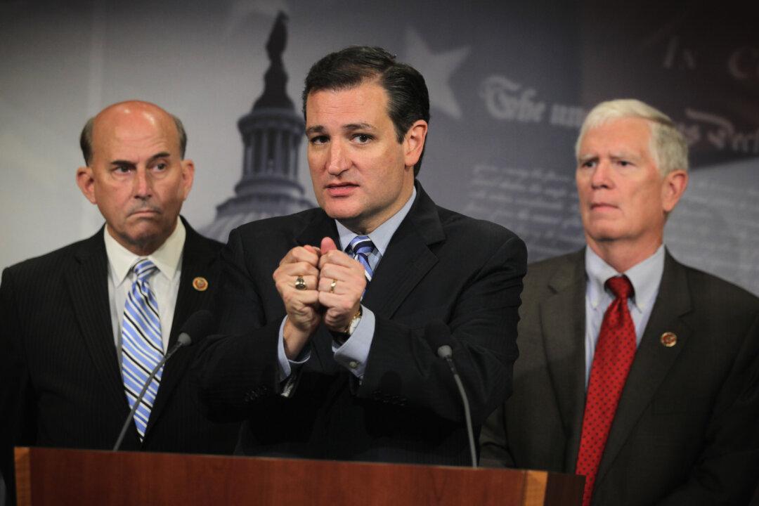 Cruz Forces Vote on Immigration Order