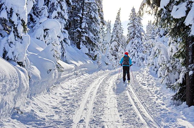 Top 19 Places in Canada for Cross-country Skiing
