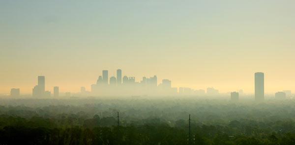 Forests Could be a Thrifty Way to Fight Ozone Pollution