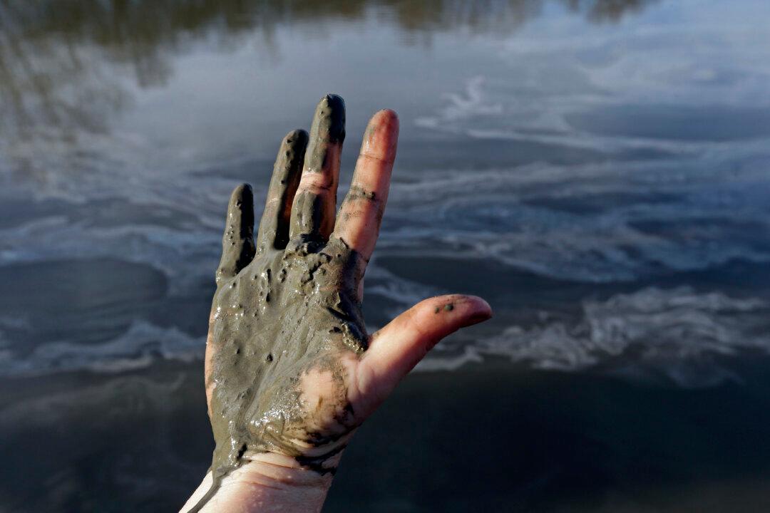 Coal Ash Considered Hazardous Waste by Environmentalists, Harmless by EPA
