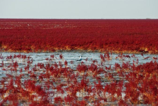 6 Epic Natural Wonders of the World