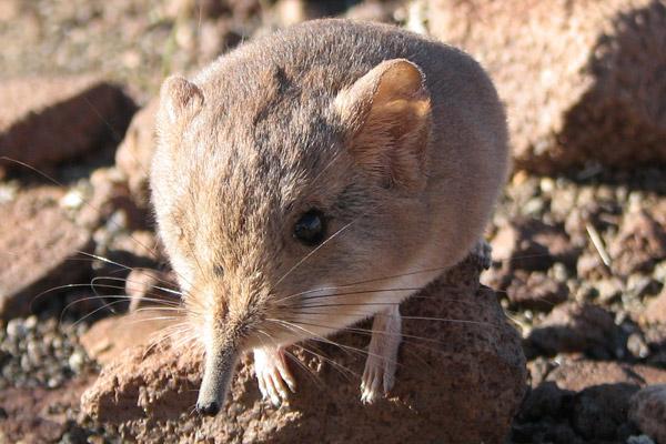 New Species Discoveries in 2014, Part II