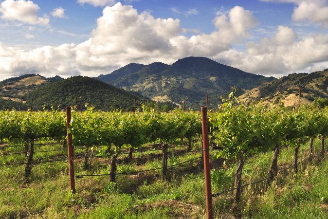 Top Things to Do in California