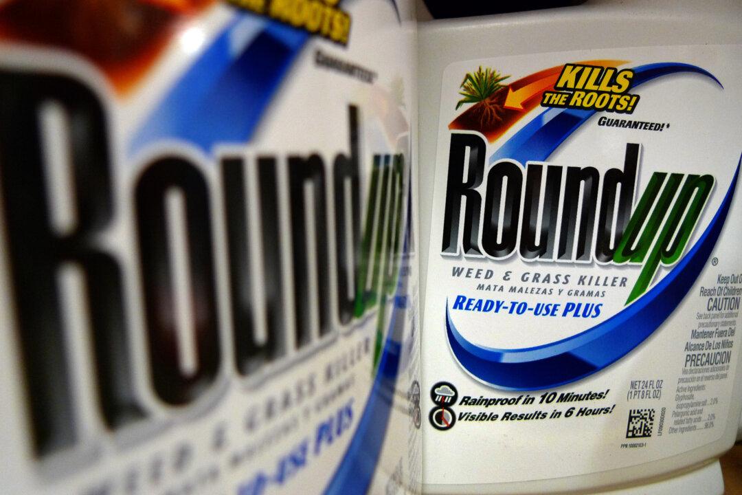 Glyphosate Causing Autism? MIT Researcher Claims Herbicide Will Cause Half of All Children to be Autistic