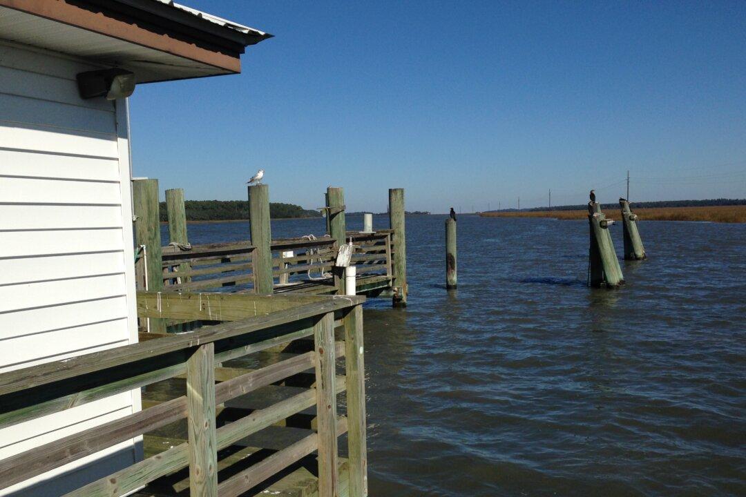 Sapelo Island: Georgia’s Historic Treasure