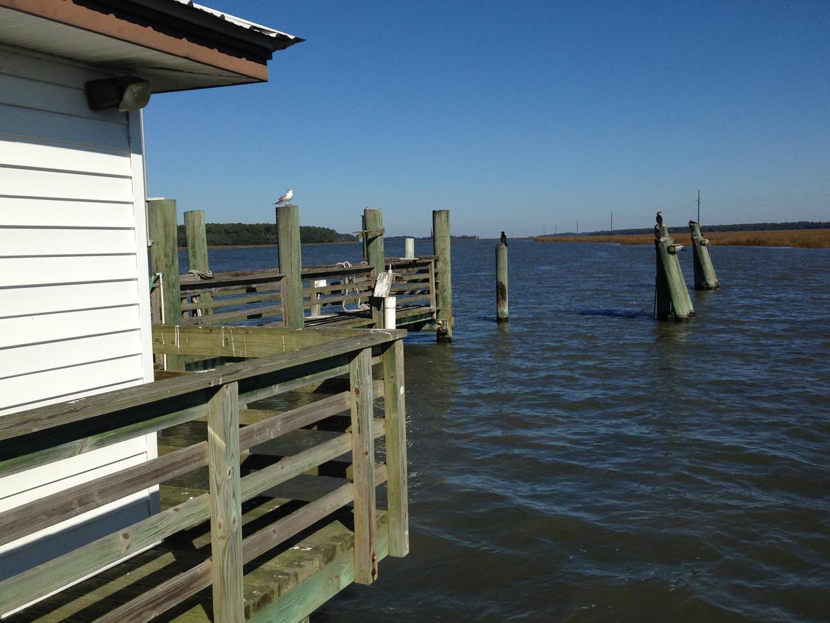 Sapelo Island: Georgia’s Historic Treasure