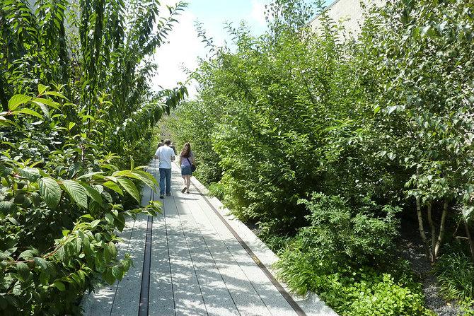 Walking the High Line – New York City
