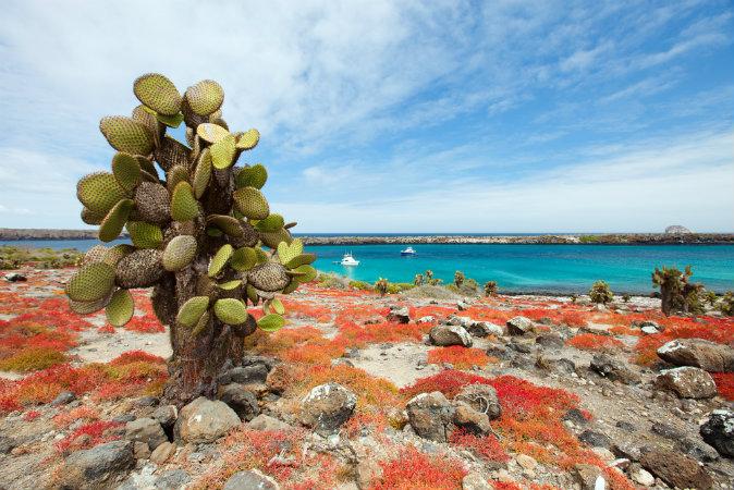 Getting to the Galapagos Islands