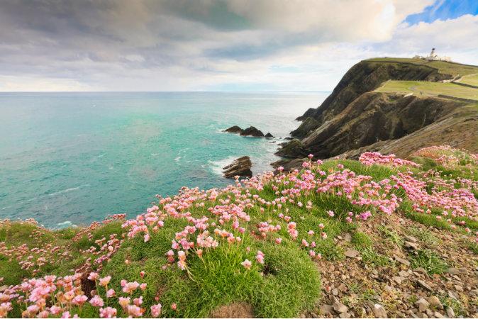 Top Reasons to Visit the Shetland Islands in Scotland