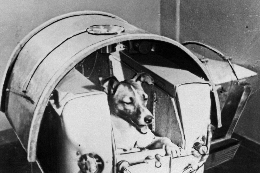 Russia’s Great at Invention, but Stinks at Innovation