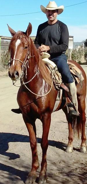 Immigrants Catching the American Dream