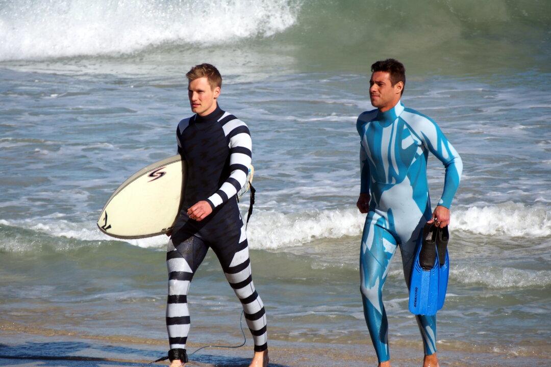 More Shark Research Needed as Dangerous Encounters Increase