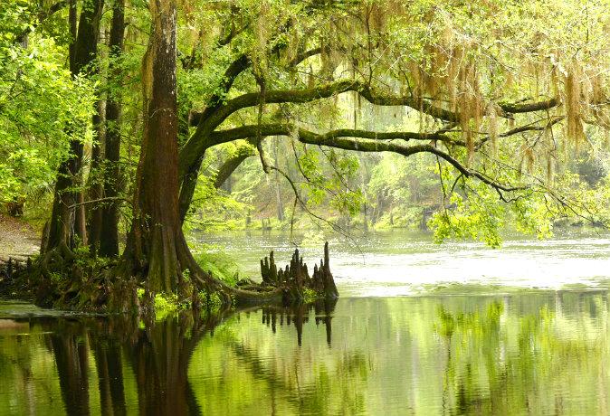 Florida’s Babcock Wilderness, Where Man and Nature Live in Harmony