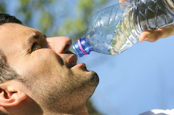 BPA Exposure Linked to Changes in Stem Cells, Lower Sperm Production