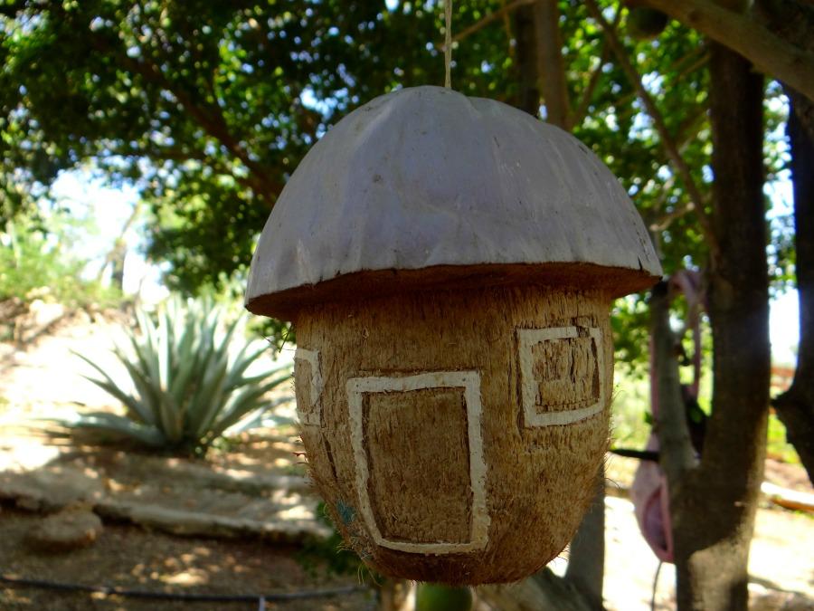 5 Off-Beat Adventures to Take in Curaçao