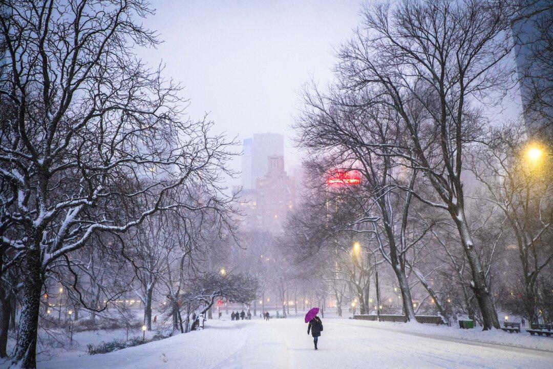 Mystery of the Minnesota Woman Who Was Frozen