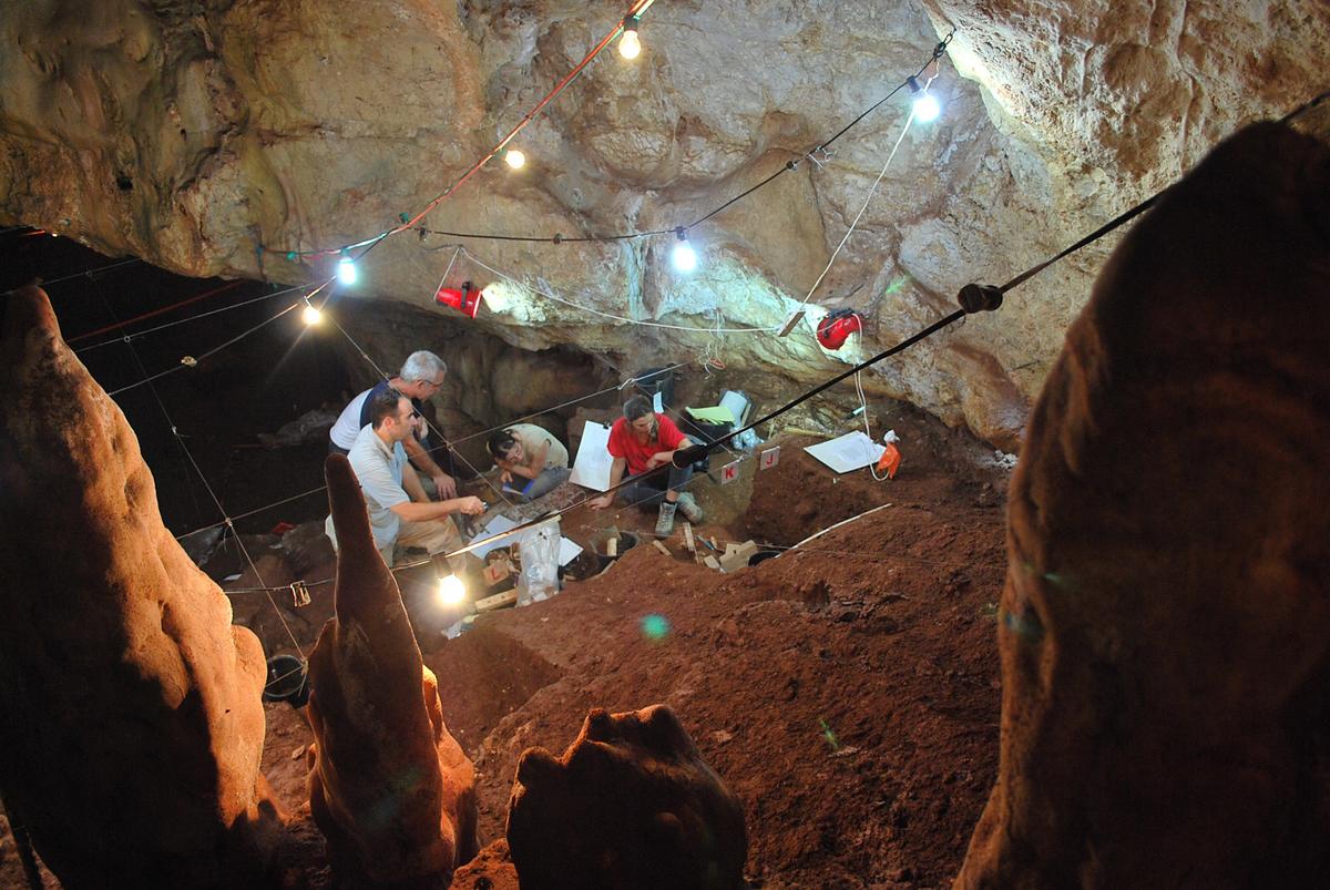 55,000-Year-Old Skull Found in Israel Hailed as Key to Human Prehistory
