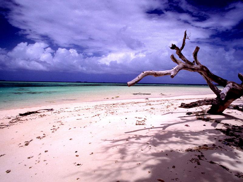 Best Time to Visit Marshall Islands