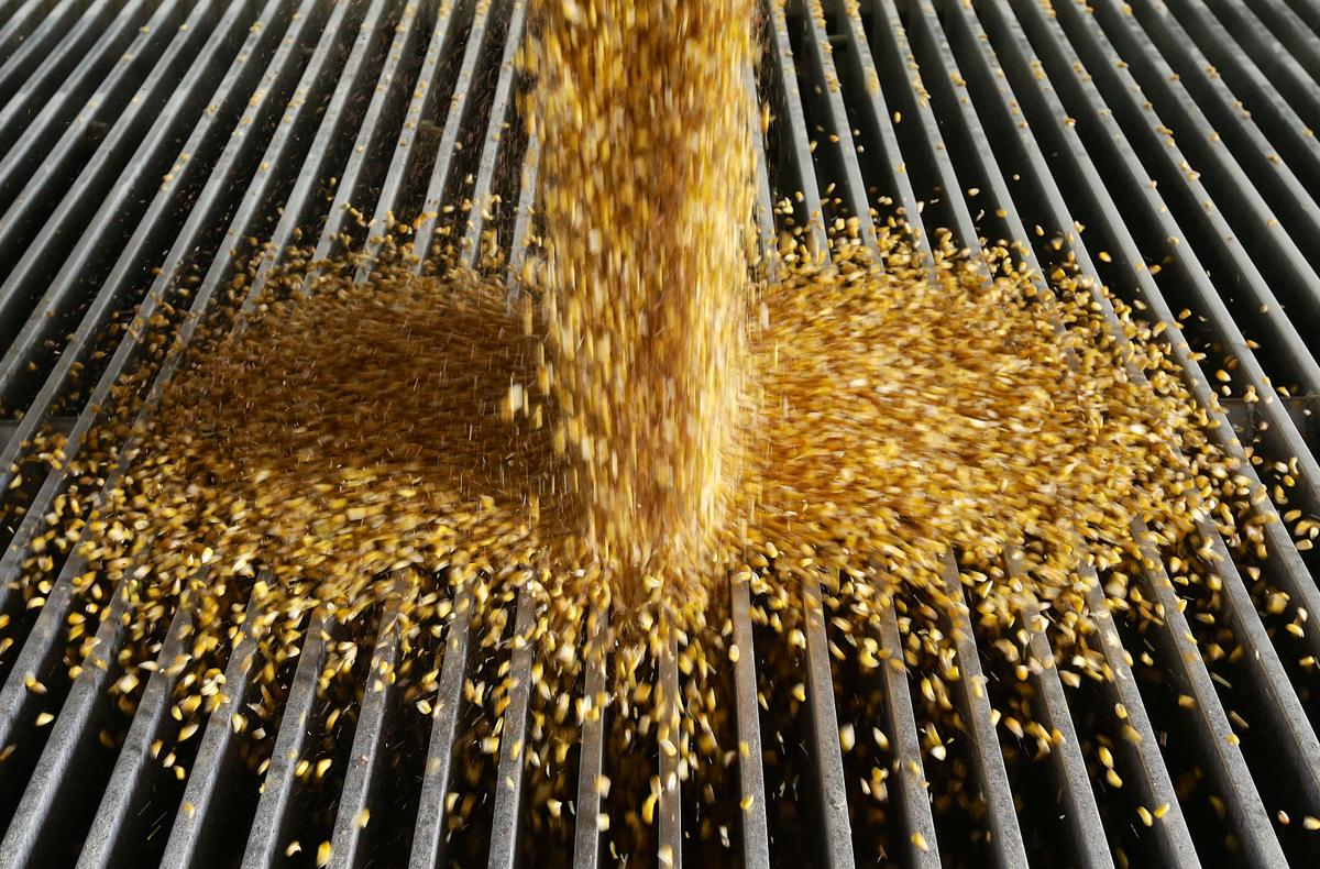 Report Rejects Ethanol for Fuel