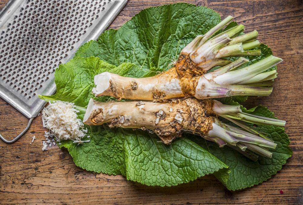 Horseradish: Nature’s Decongestant