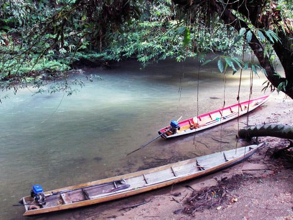 Indonesia Community Regains Forest Rights