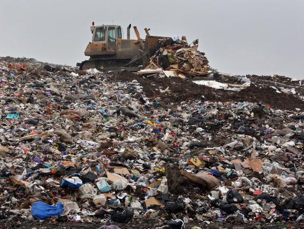 Stop Wasting Food!
