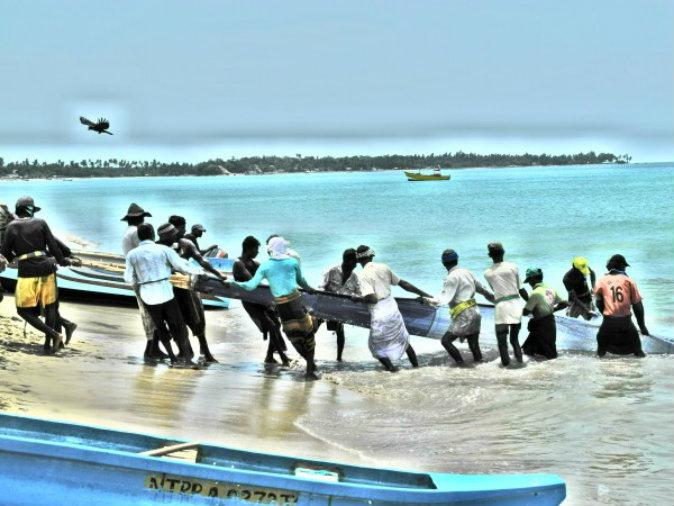 Traditional Net Fishing on the Beaches of Sri Lanka