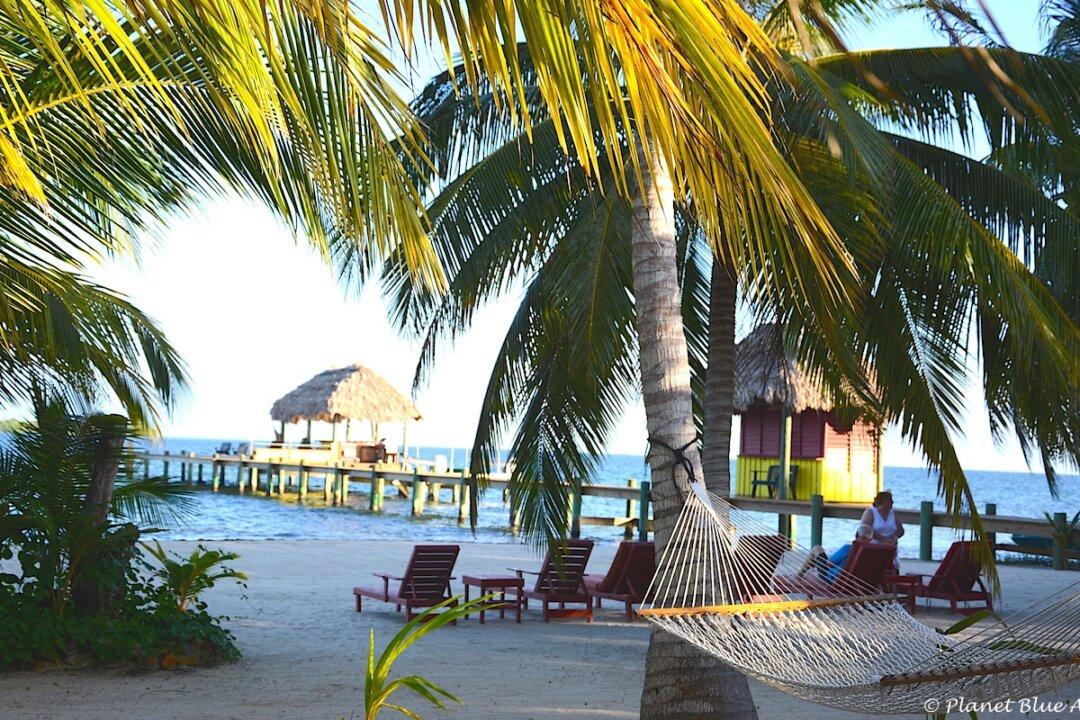 Where to Eat in Belize