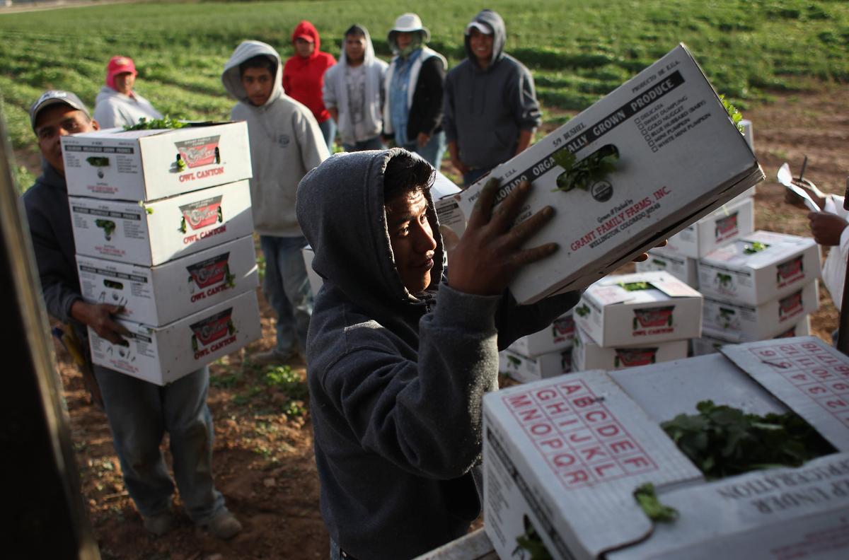 Job Success of Low-Skill Immigrants and What It Means for the American Dream