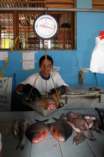 Communities Encouraged to Aid Conservation In Peru