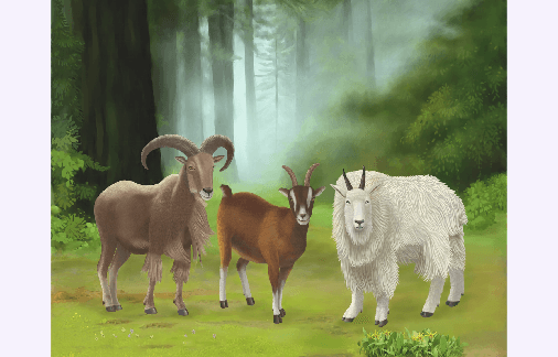 What the Chinese Say About Year of the Goat People