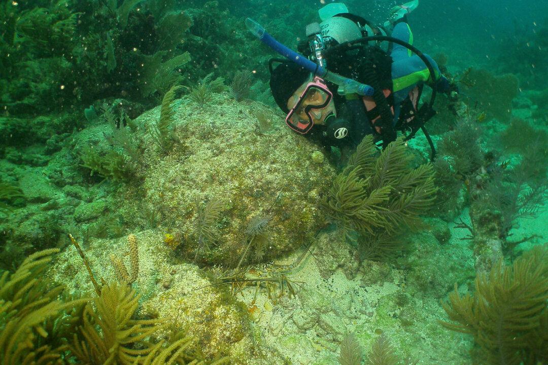 Underwater Photography: Preventing Backscatter