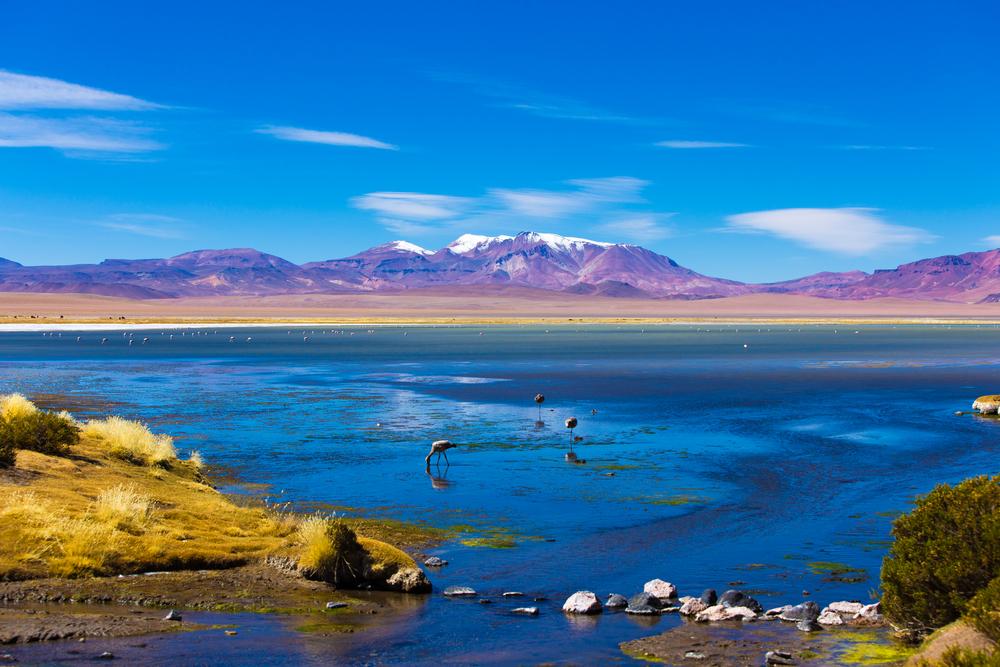 Top Destinations in San Pedro de Atacama