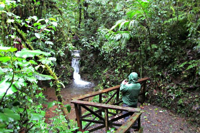 Hiking Santa Elena Reserve in a Misty Rain