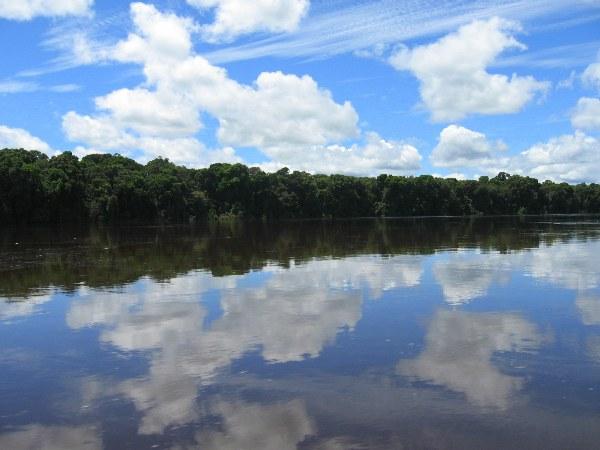 Study Finds Local Technicians Effective at Forest Monitoring