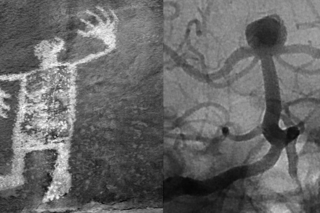 Hidden Dualities of the Physical World