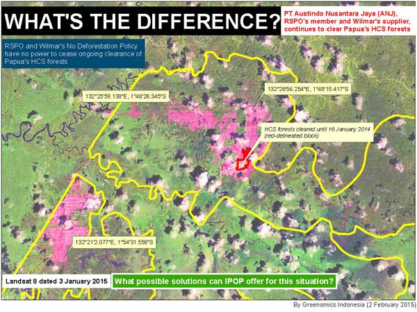 Palm Oil Deforestation Worsens Despite Pledges