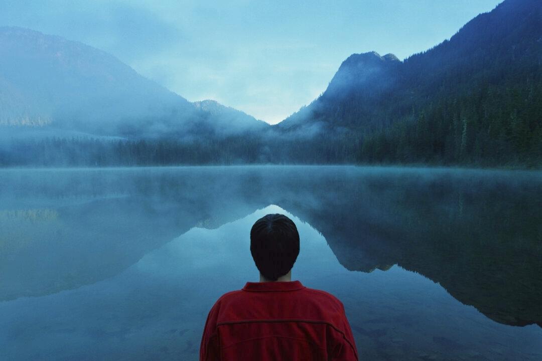 This Is Your Brain on Mindfulness Training