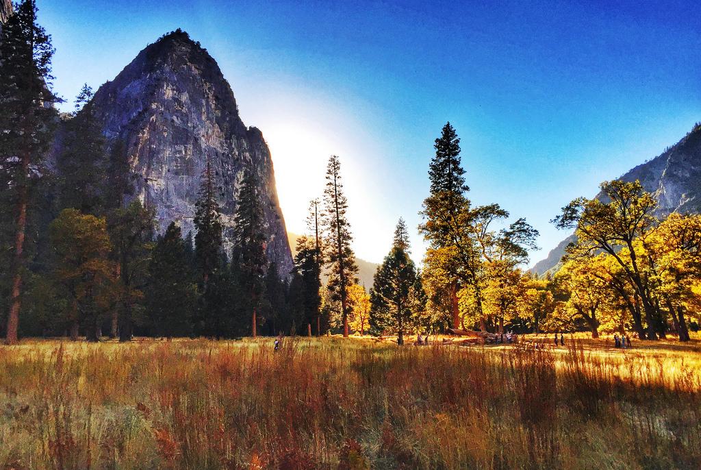Inside Yosemite National Park
