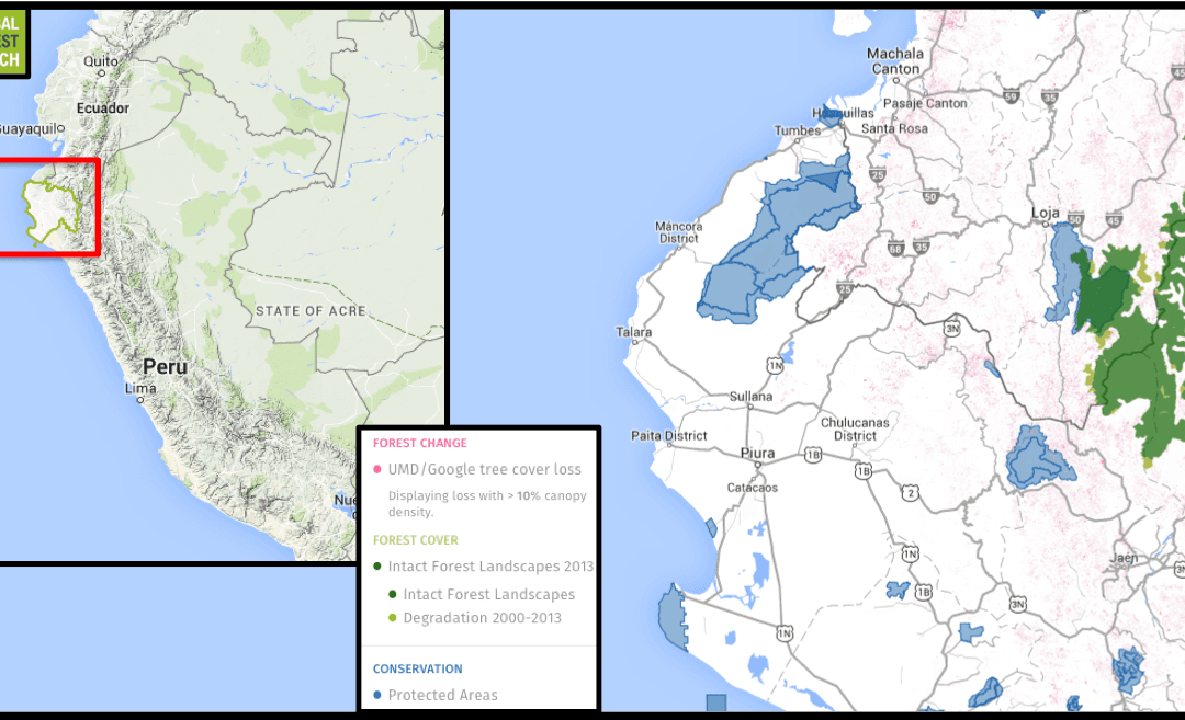 Study Finds Peru’s Protected Areas Are Mis-located