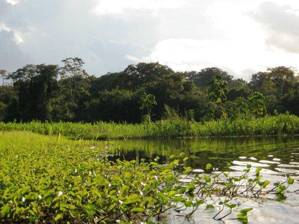 Researchers Propose Improvements for Peru’s Protected Areas