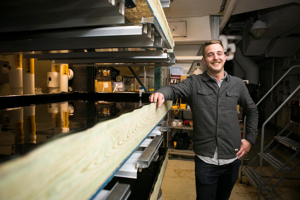 New York City Might Be Able to Mass Produce Its Own Food With Aquaponics