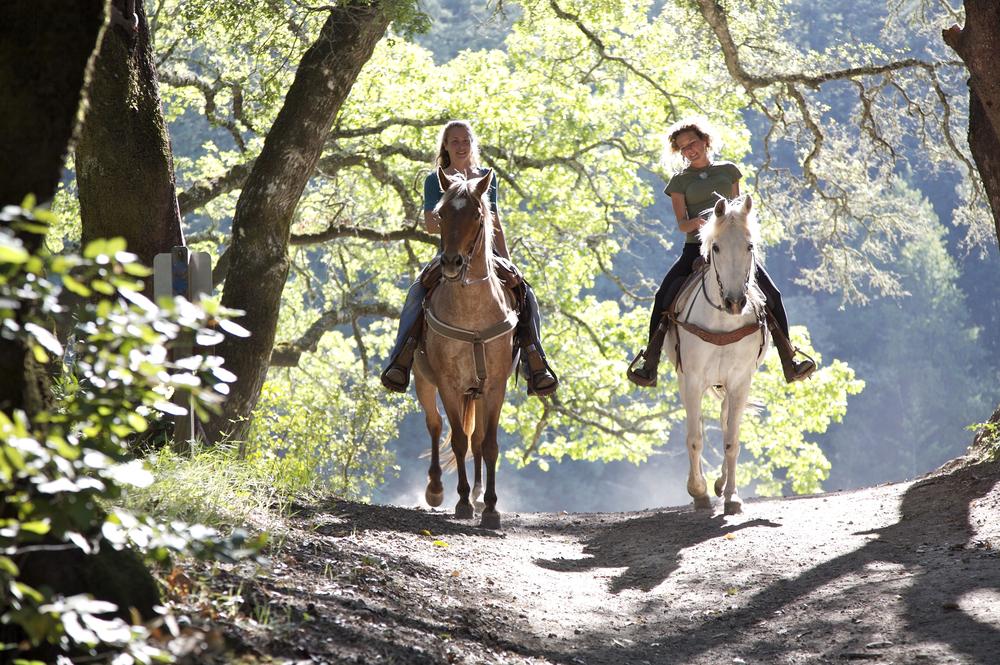 3 Stunning Horse Riding Locations
