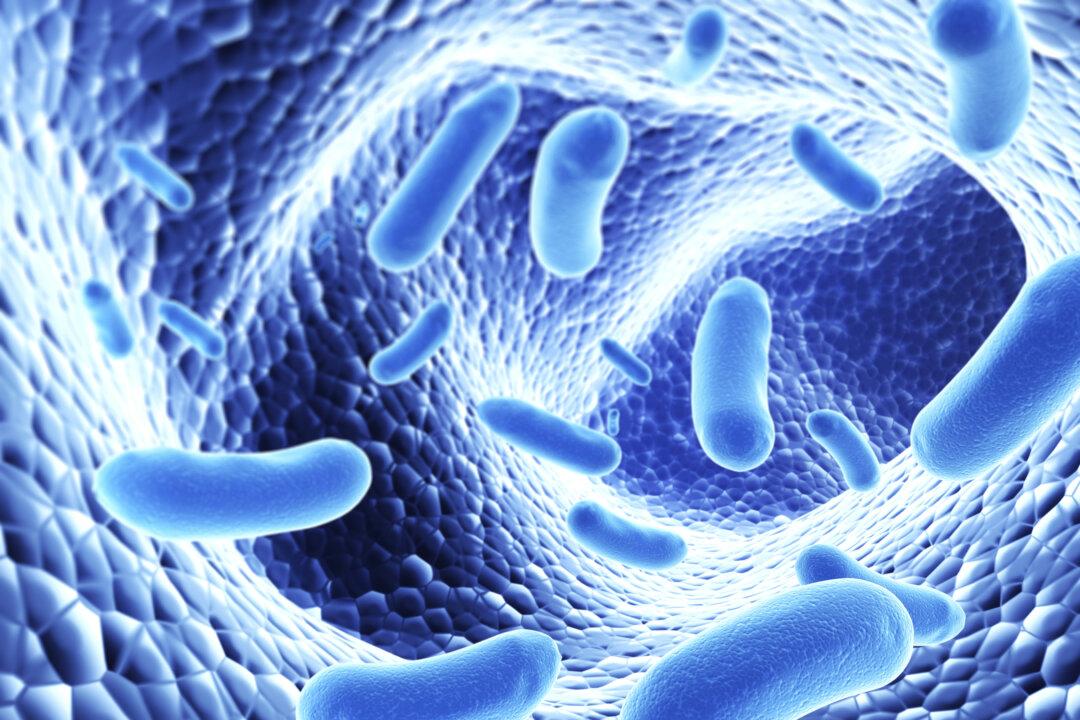 Liver Disease Linked to Gut Bacteria and Leaky Gut