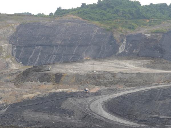 Indonesia Reaffirms Commitment for Mining and Logging