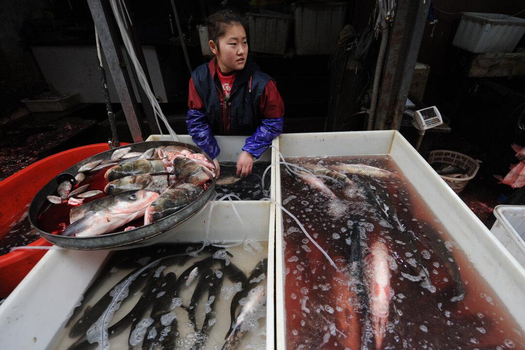 Seafood and Chicken From China Contain Antibiotics Harmful to Humans and Environment